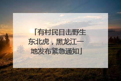 有村民目击野生东北虎，黑龙江一地发布紧急通知